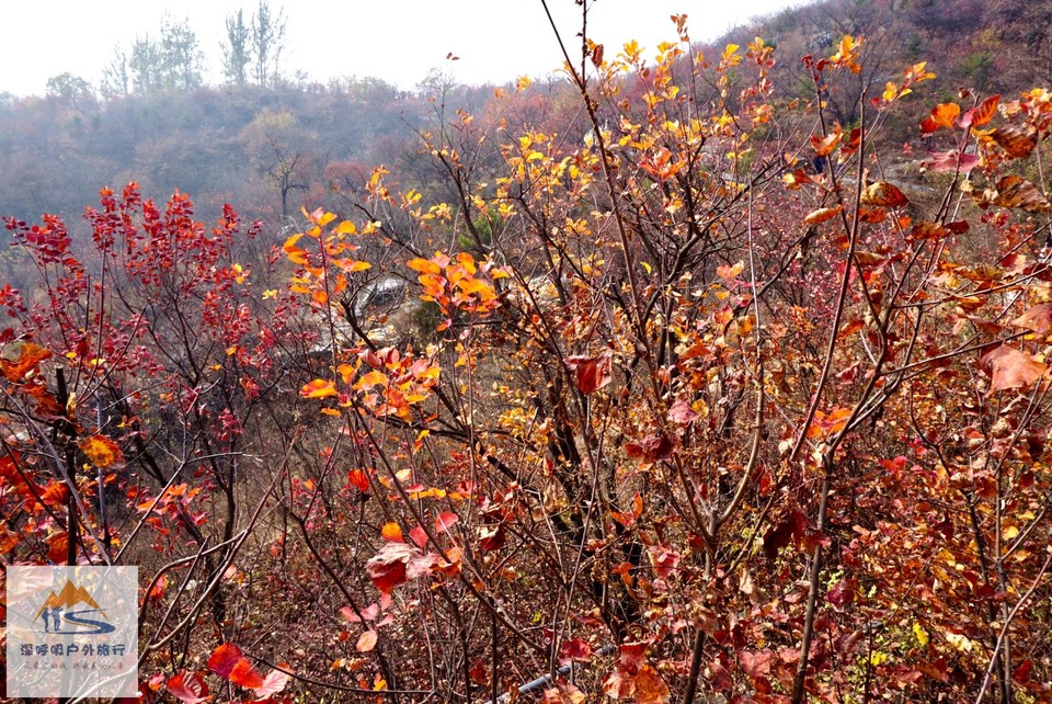 BBBF4BA9-6F49-49DC-A3C9-3E4EE5AD2A5D