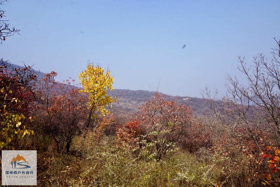 B2B430F9-B233-41EB-9480-AB17FD95236A