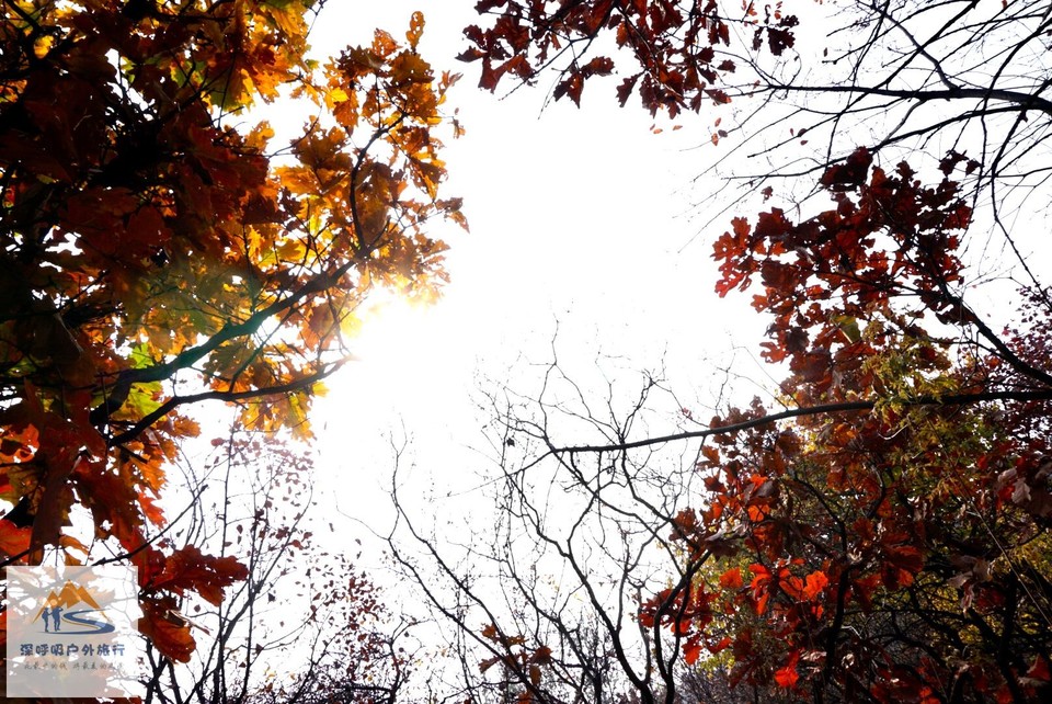 99C38923-1CF4-4294-A7E7-E746B54BAB33