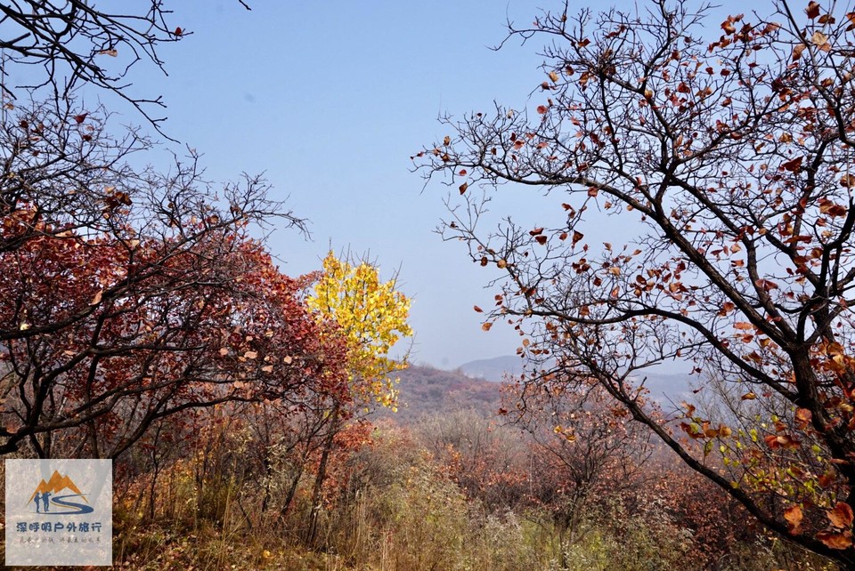 82470063-75A8-438C-9188-F6F36ED35B53