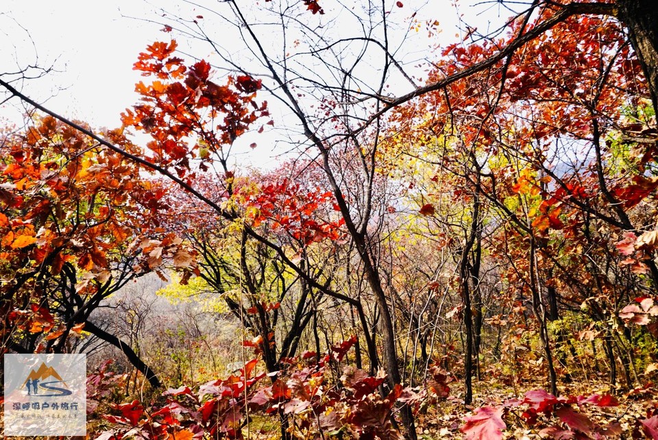 FFD96207-BF7D-4F25-9280-6DC24634EFB8