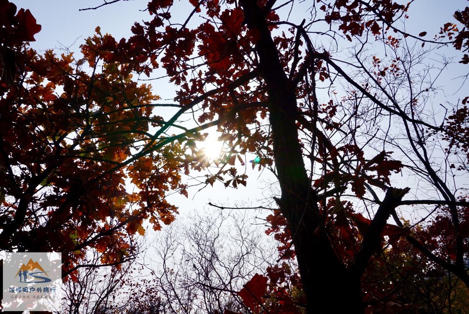 61AD7A80-E788-4649-95E7-995C3B263DD4