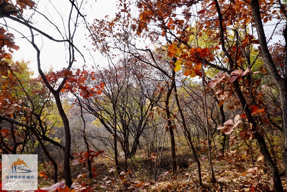 8D6B10DA-7F01-4102-94B7-C0C1790A7755