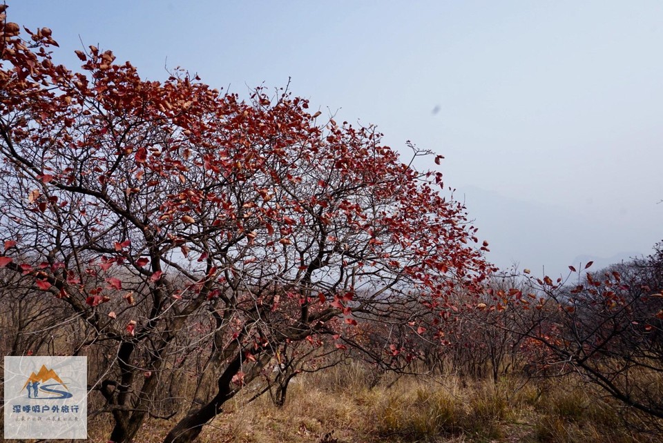 3B000593-31AD-469D-B0D0-E0181F0158FE