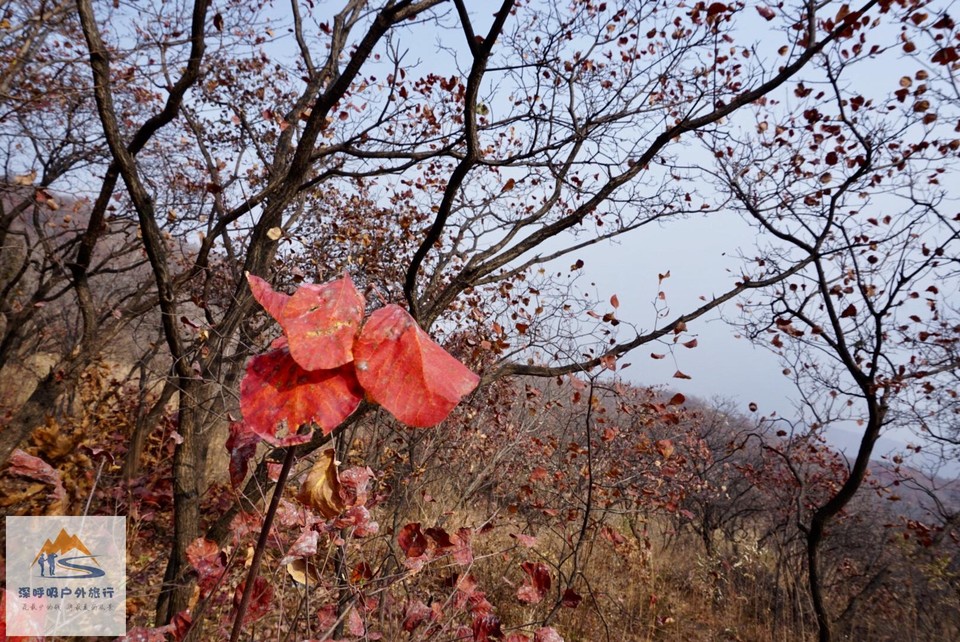 83937451-B8B3-4C7B-80D3-BB4188E7870A