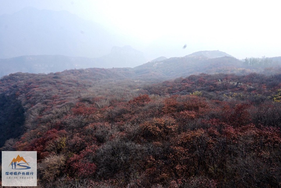 0F41574E-52B4-4B9D-BF34-E08BAA409B97