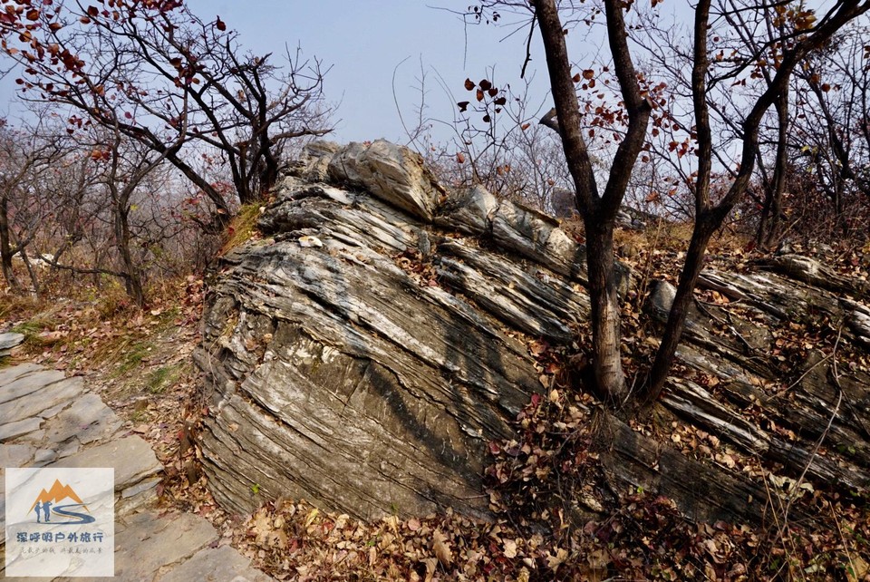 9C40D44C-002F-460A-A8FE-EA28B6735243