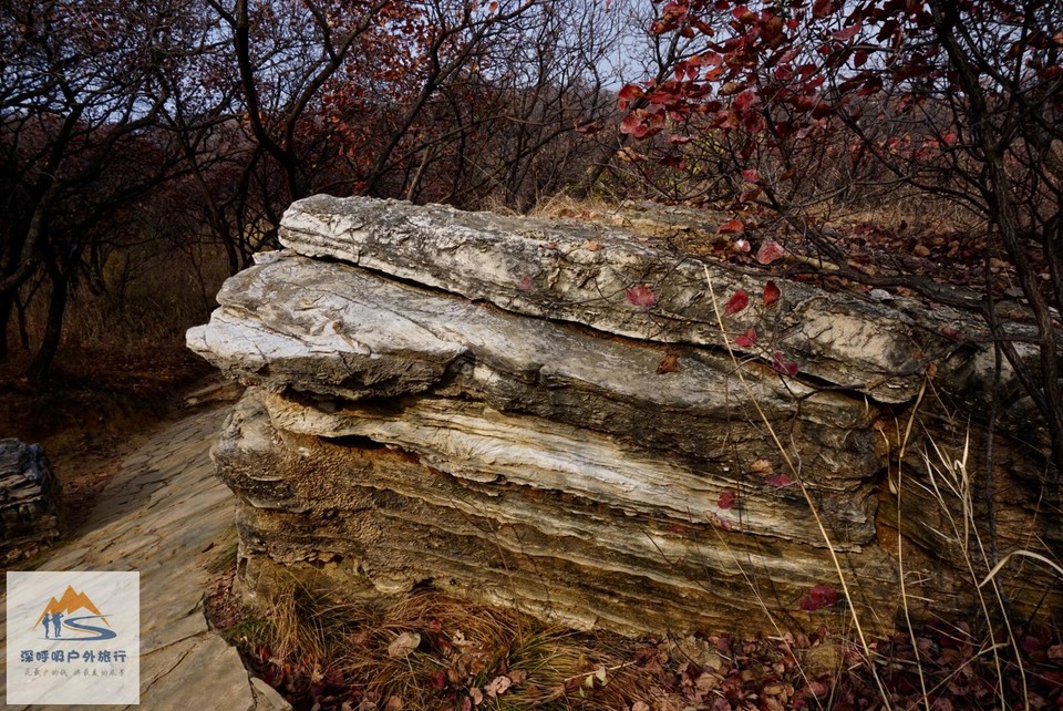 F9AE9B04-2622-4BF3-B84B-C7B1136EC6EB