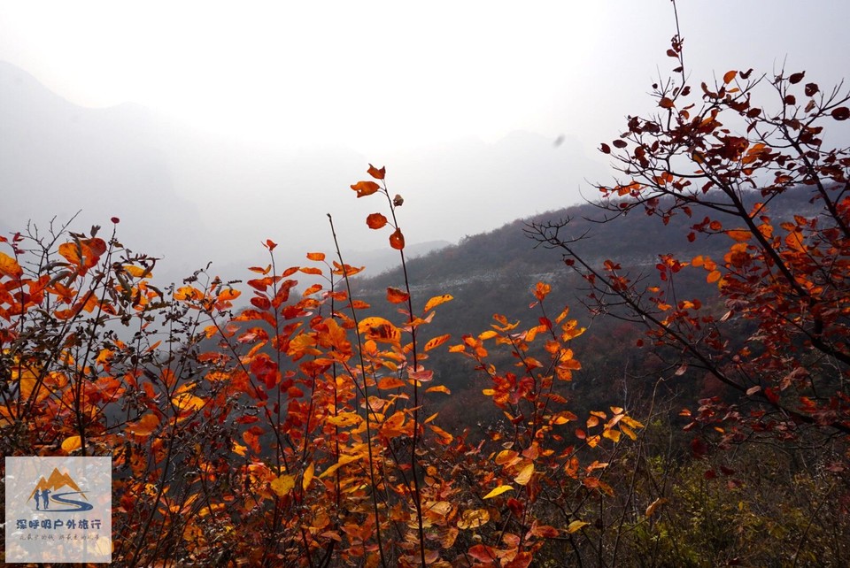 A073631C-B278-4E33-813A-8D0F6301C6F0