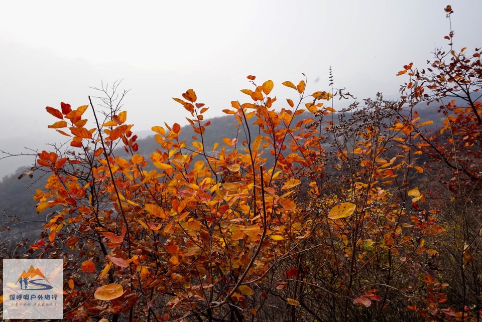 3C3606D1-863C-4FF3-9323-27A8D1A005C2