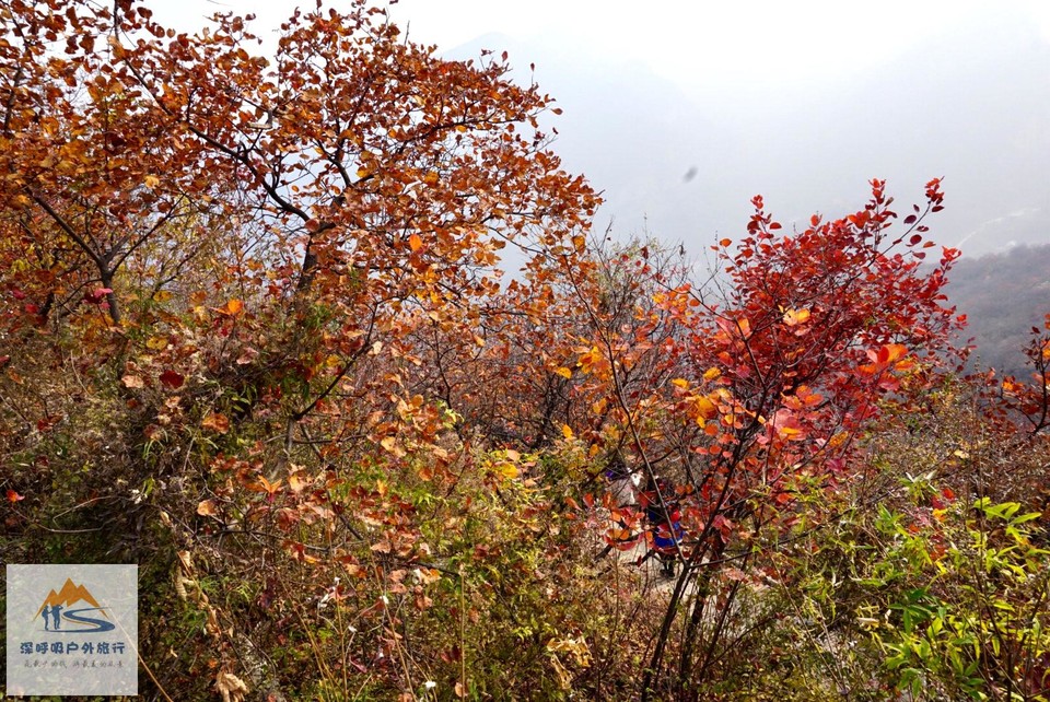 5F0B2E64-F005-4D85-BB4C-D4B817E5DE63