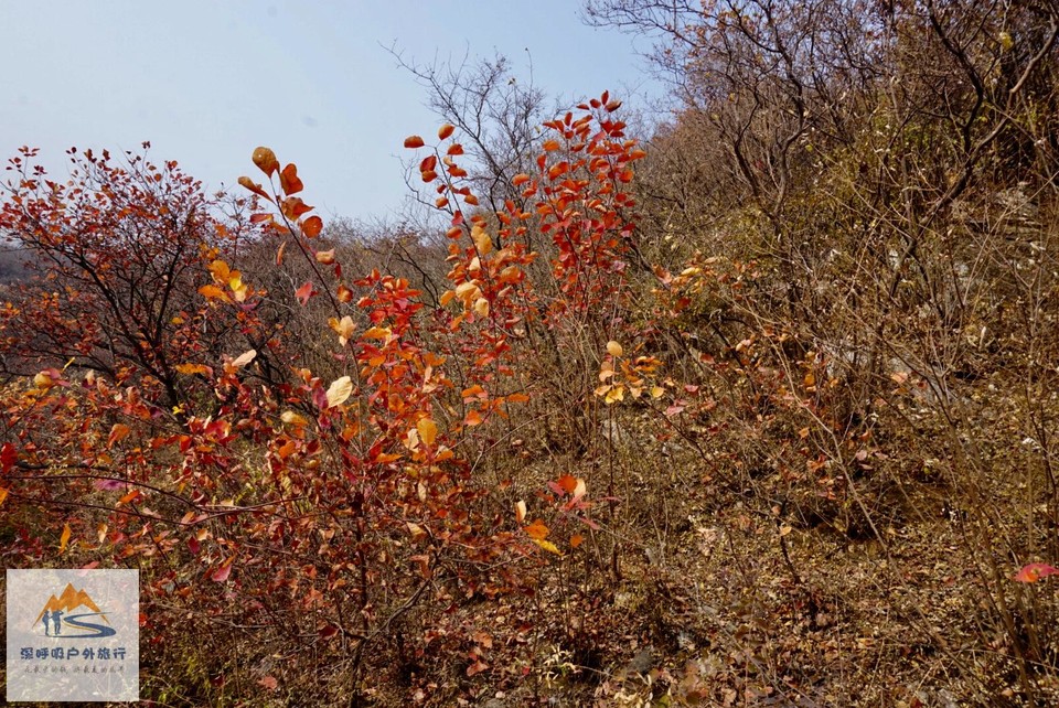 BA23F815-8AB3-4B81-ADAC-341889F16F73