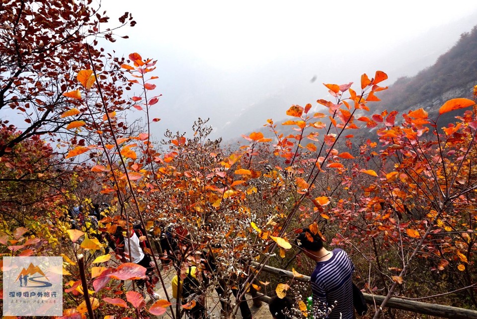 B303790E-DD38-4EA5-824C-0BCEA689957C