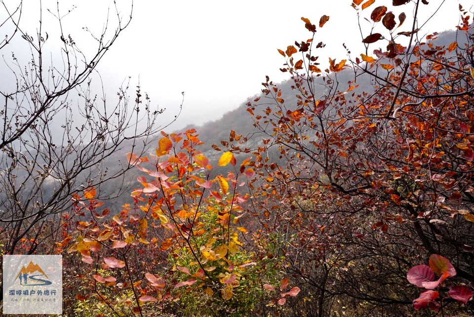 2FD707AD-E748-42CE-A1B9-228E2D75B04E