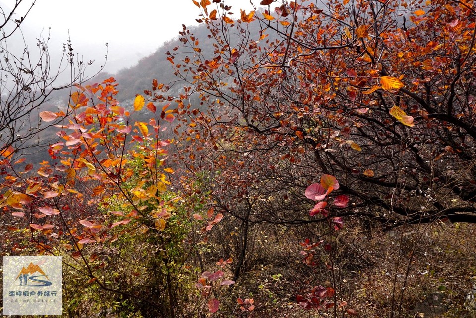 8B148330-C5D4-4ED0-A5E3-551F4E419C36