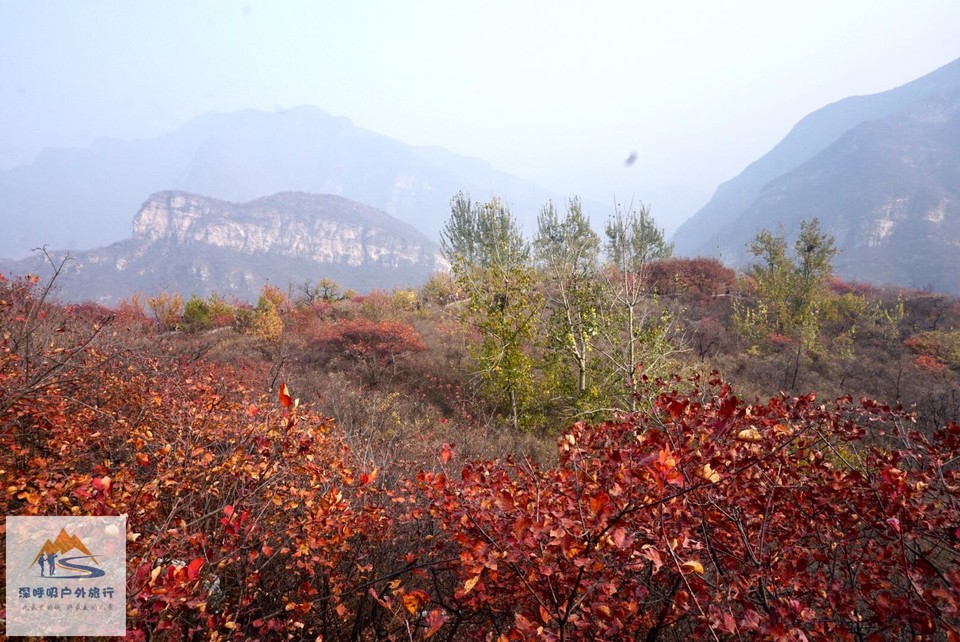 8FB28299-15C8-471D-8D70-5A07D73D2012