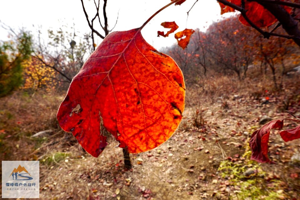 386AA1DF-D5C7-4A98-B4BA-3208FAC98E25