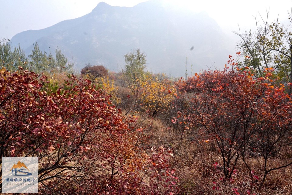 1C86A6F0-E027-4975-B51A-623A46C076B2