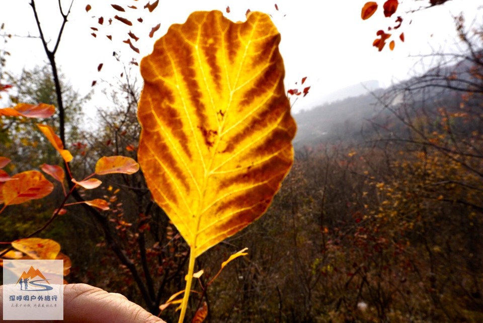 1611D41B-BAD9-42E8-8EAD-2C4DF7C70A55