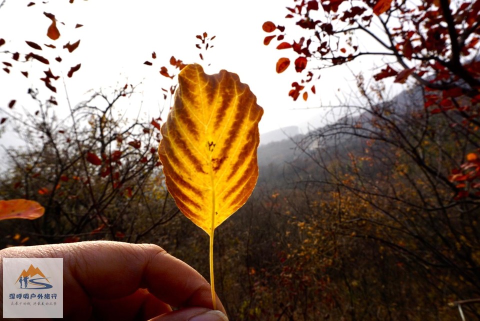 C2AA122A-5FF3-44F4-AA80-D4F829EECF3D