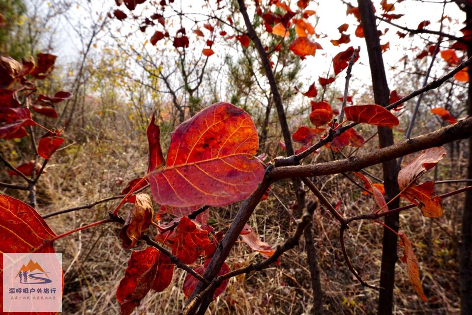 E07FF9C7-2B39-4175-84A7-54D585E090E5