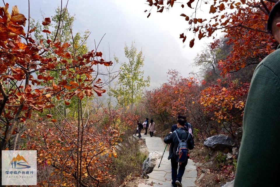 556FE36E-DFBC-4936-A7BA-FE81A123412D