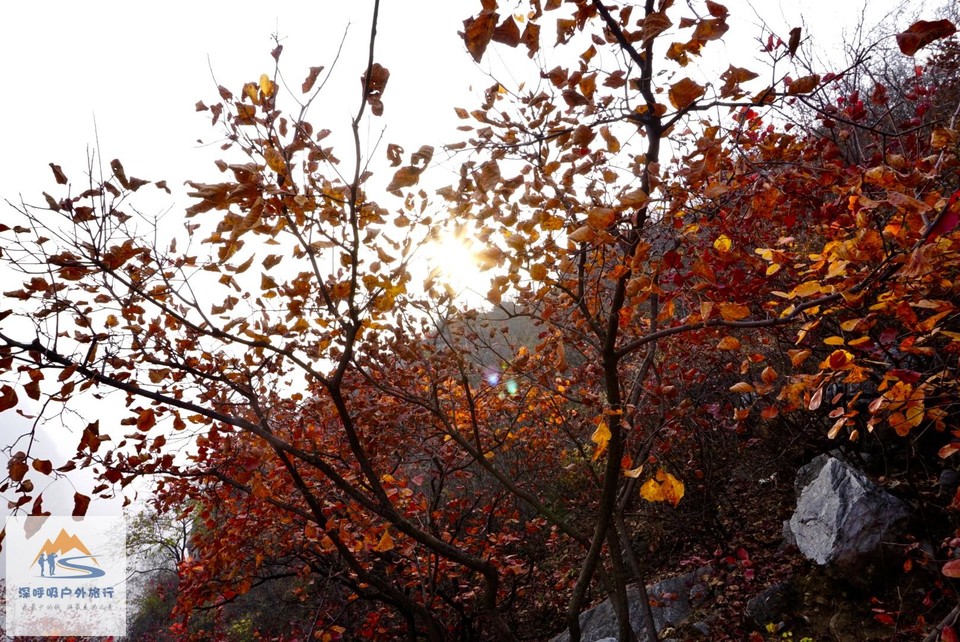 1F208A53-F8EF-424E-8F95-A7E4CB90C6A3