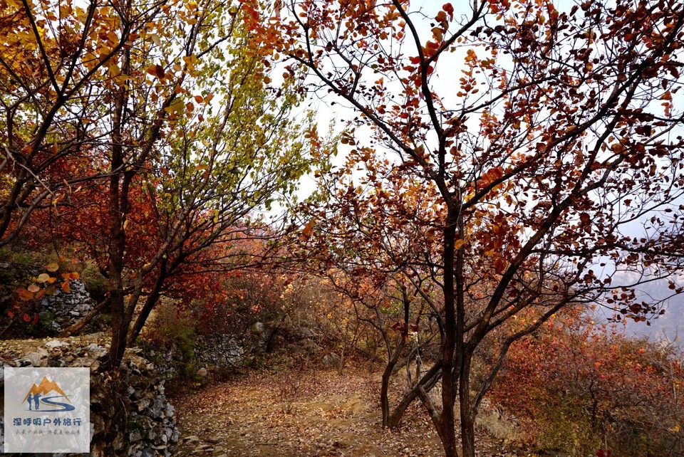 0A596041-3225-4C6A-8B50-EAF643D1406D