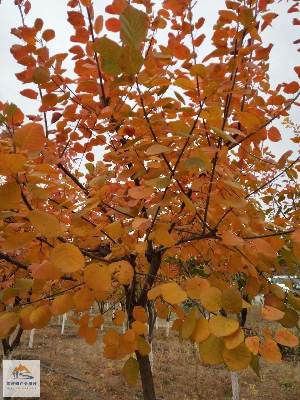 yQya9GGYuZKTCj32iajjkdYaNlYnrdT5OhjfIosMCHgHYWGKETvFTt-VlLu-WCWO