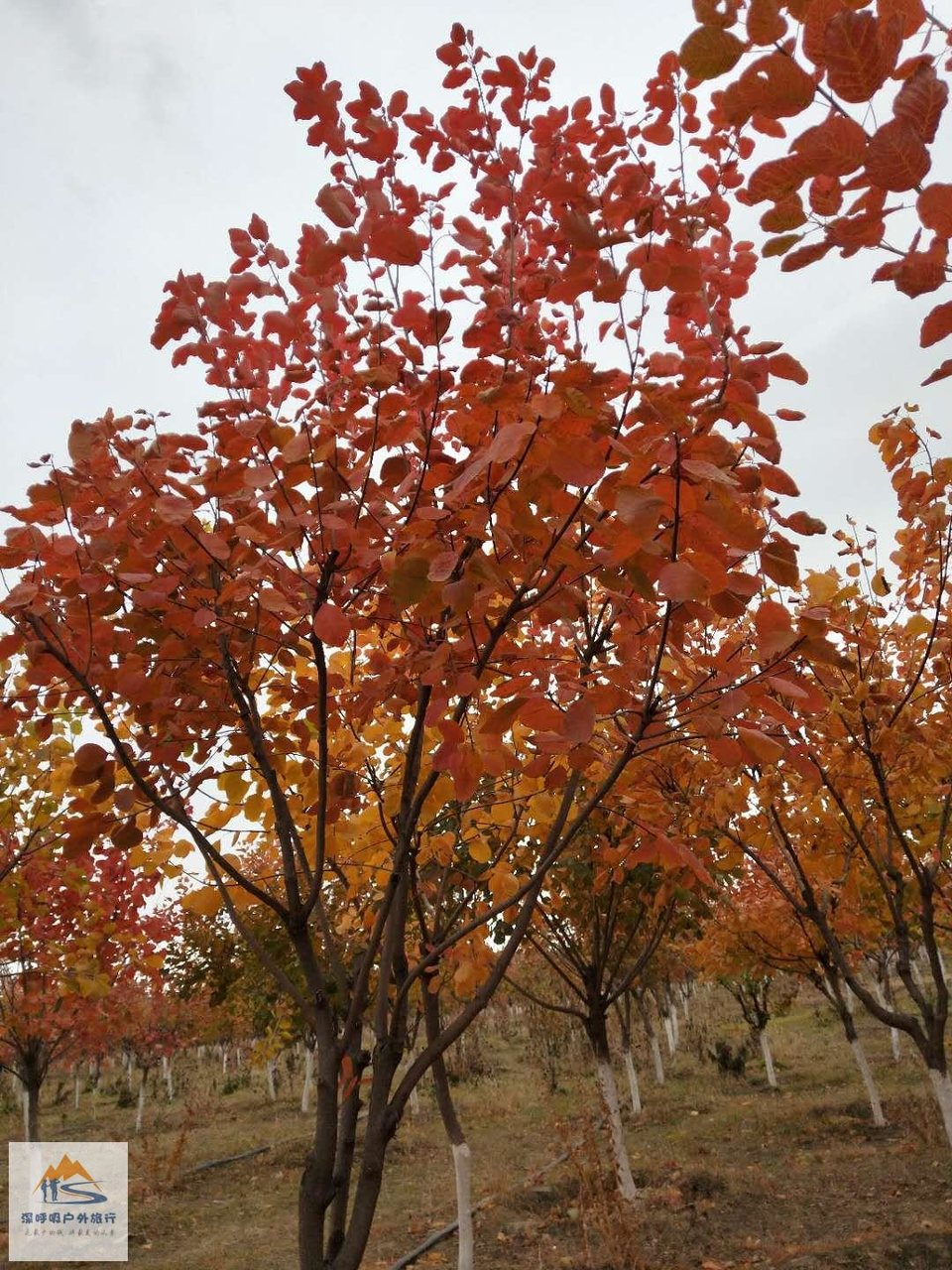 pfGzWloTt5HuXgHu0B6yI9IiorW3-r6N88C026mbyzQMT27duhg_sopLxYicK5YQ