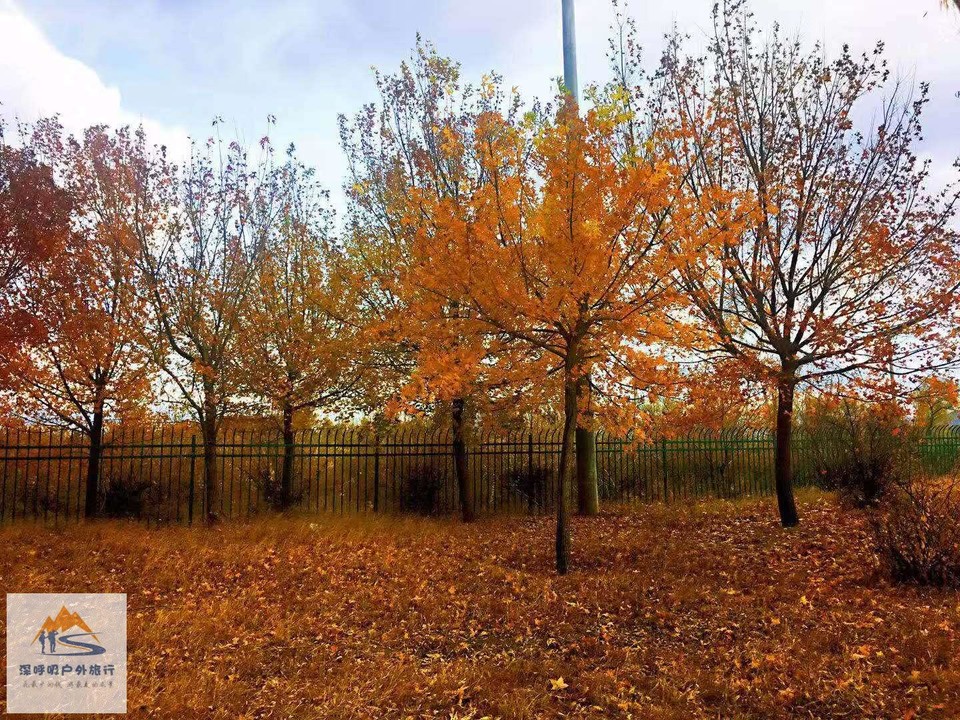 Zb2j0vudH77D3k0rgyakPkXTia610Dp7j_6pv9_GzbeJfxW_Sz-4yDlX8x7lPQ8H