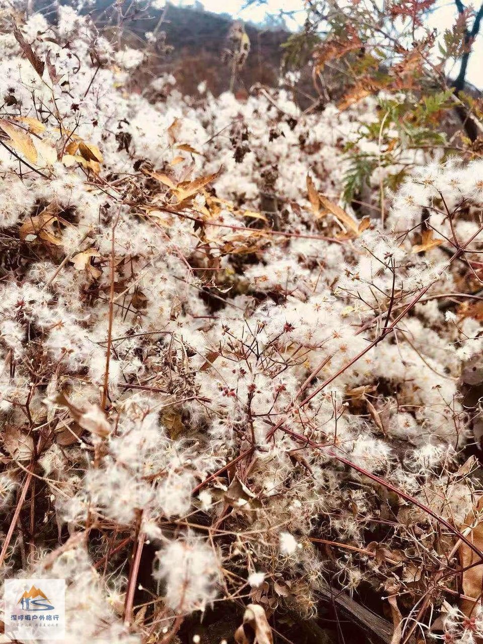 c6-EIsnAmLIi_BqpmkZVABmDbwJSmp5xd-0dxN38w_0vkr6aWJyjE-X_1n0EniJH