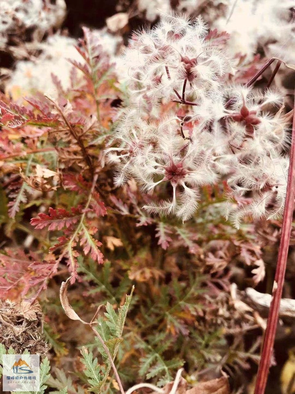 ocro36xdzgbkVpDRyoYBsZDqEVaYUwiWiOqUxysnpUmWjRRJ_qqxpXSqLJYlKSG7