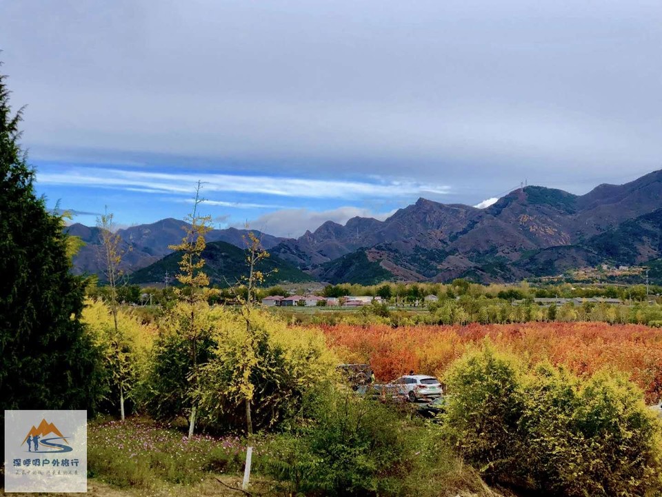 D5BSneeqinbqYdaA8pLkzfivDxf-RRFDkWjDn-RDw24-e5a7aqqNXZ0KxMjZg7iO