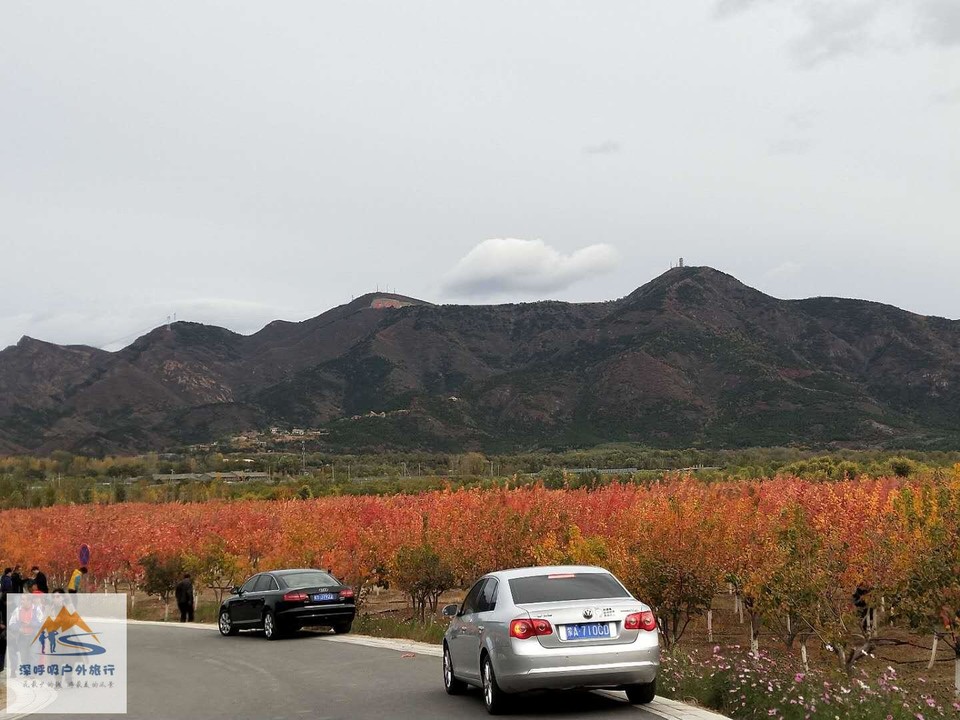 k31vgVCkGvzWblqCvEF3f7eKx9sTEBSpwj6SAfgi4N-UFAGcU2dmZwZZpvCdh_Gg