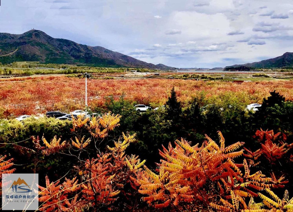 1XVA6ffYDKnBokQjH50eljJd4CXydXtxkHHeIizuFL7NmIUgNav02UtgYYZ8-Vyw