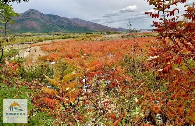 sM0GcjZrwHbSRAjjd1qe4ACQVGmSwncNMqmCoHqdKpb_0jxiC0Irr0n0NJse6Npy