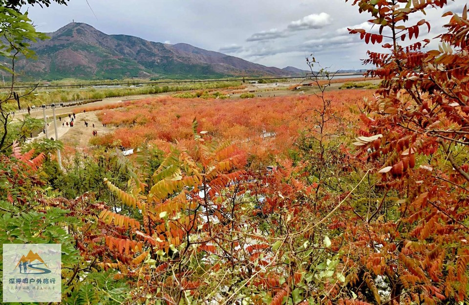 G6TxQVtbU431hbfYFze8Dg5C9-6H4f2uL4qMbEvHK4Pwz1YpSNLGiMI0V10hqH6o