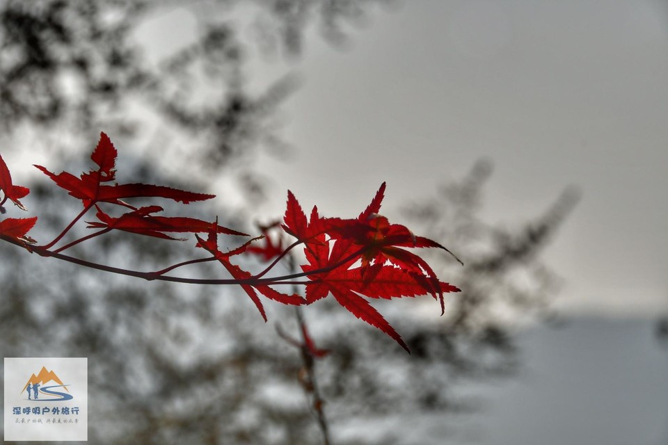 IuaHRy-QDnOpKKEZ-mZ0URbagMd9l6R3Co3QEKLPNvxCq1X8623oeLHoc4R_YRNq