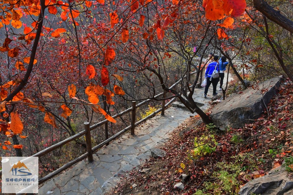 jZg5U-_J7MAGjpPMgL-ny9Ap6i_cHOVhtIkJORybCnxl8zDBr2hvQQfX0Fz_mEBz