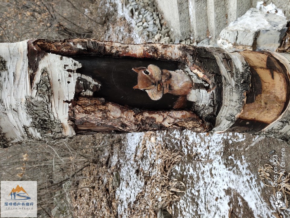 HkrMaVCG7YDCEEI6hi4GPsjCdlYbjcMgC6AudIdQXNlSG0lEi29uFSES45PYdCuJ