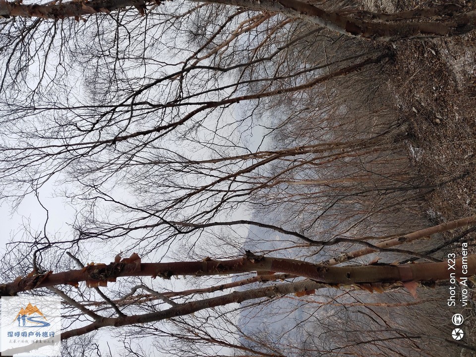 pIU_zumUxt7pKBW7je26WbCt-Ut1rRO-13HOY-xTngbAd3zL7a8eDIN3b9igrXDp