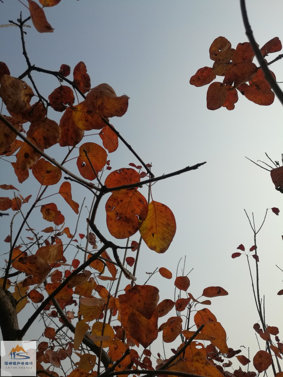 AvAHlXi_GO2bGyVNEDI41oOF00OZy06JfobzKyc1Z1l9fn5zqMMmiRR5Qso2zw4P