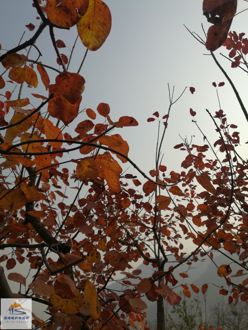 WPFn_Iu0zEDvUZhT1Bzo0M8yKvVcIi_7y8v5tnEaVf2QhBCLRPRPS2Xy3dO5SYio