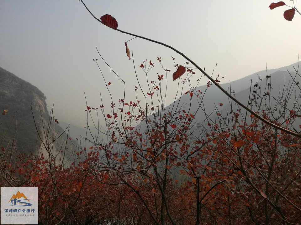 yemDjNaa6zzybvRfqBS63kV3S3s45Mn6rgIBnIY3OY7_tG0fGeuG3uNMihXnrMRc