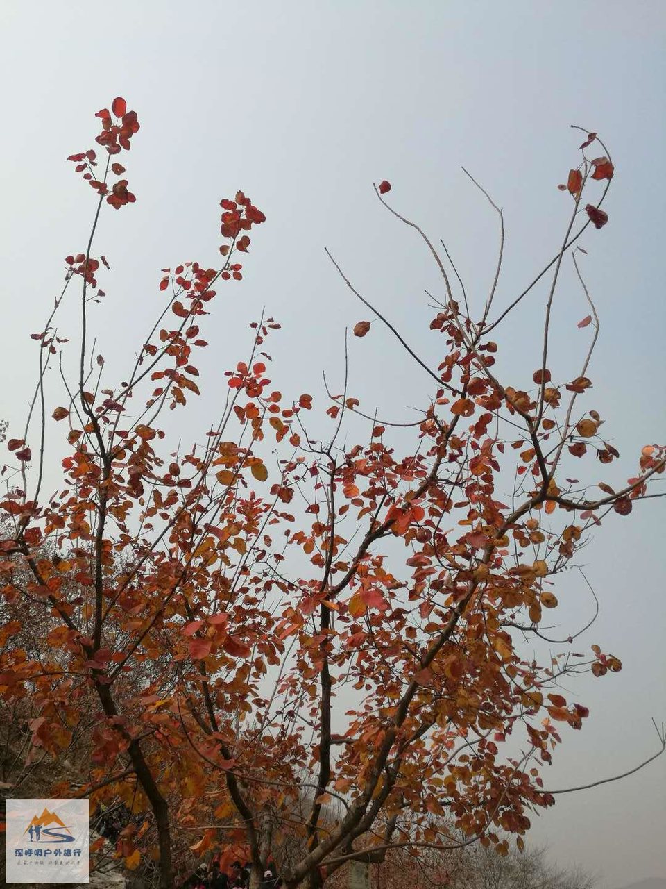 _HYLtE42eMFFFISHkEZlQ1GZUCILgQRZobH4AfLOG3_9MNpbPdCeIqlQKEwQZYvD