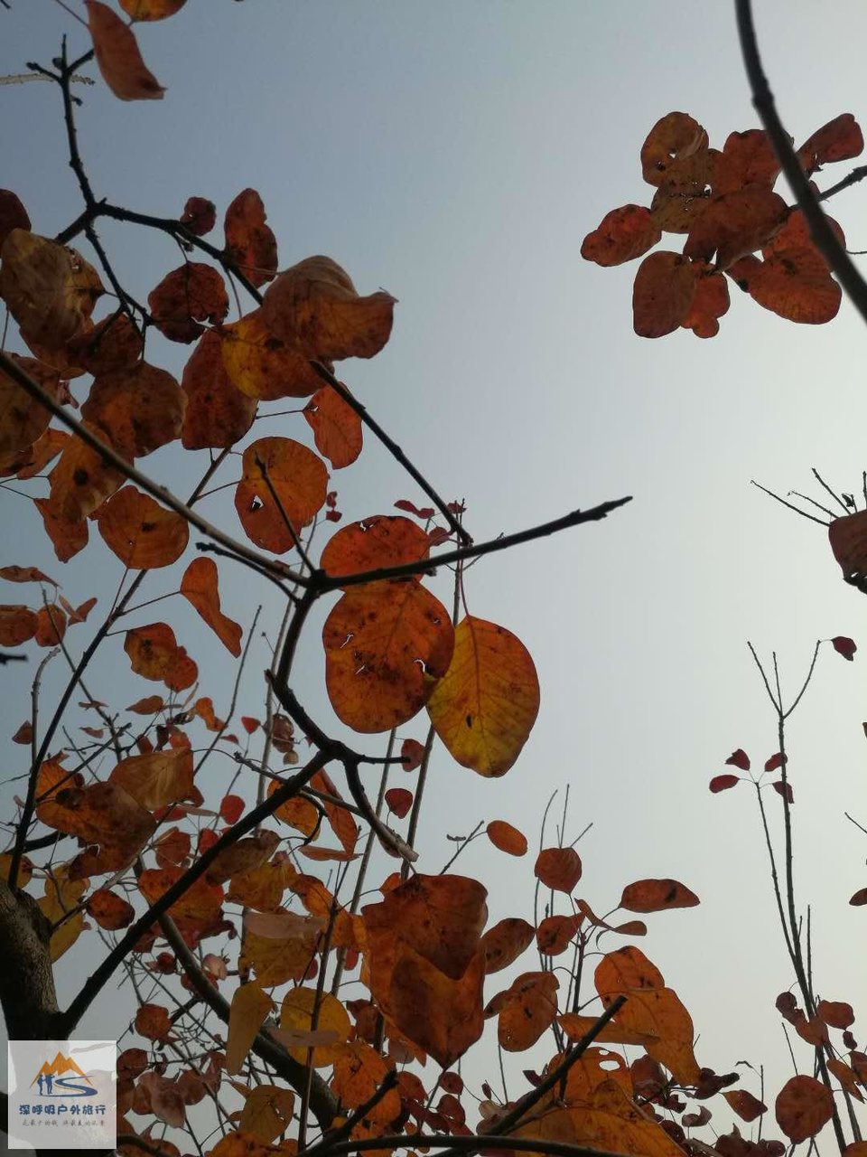 piR4AGaoGALlEvQ-NbJSKHoMr2j9xNsVHlO6zy86cJM6AhRG5KW63Gh97s_PVkvz