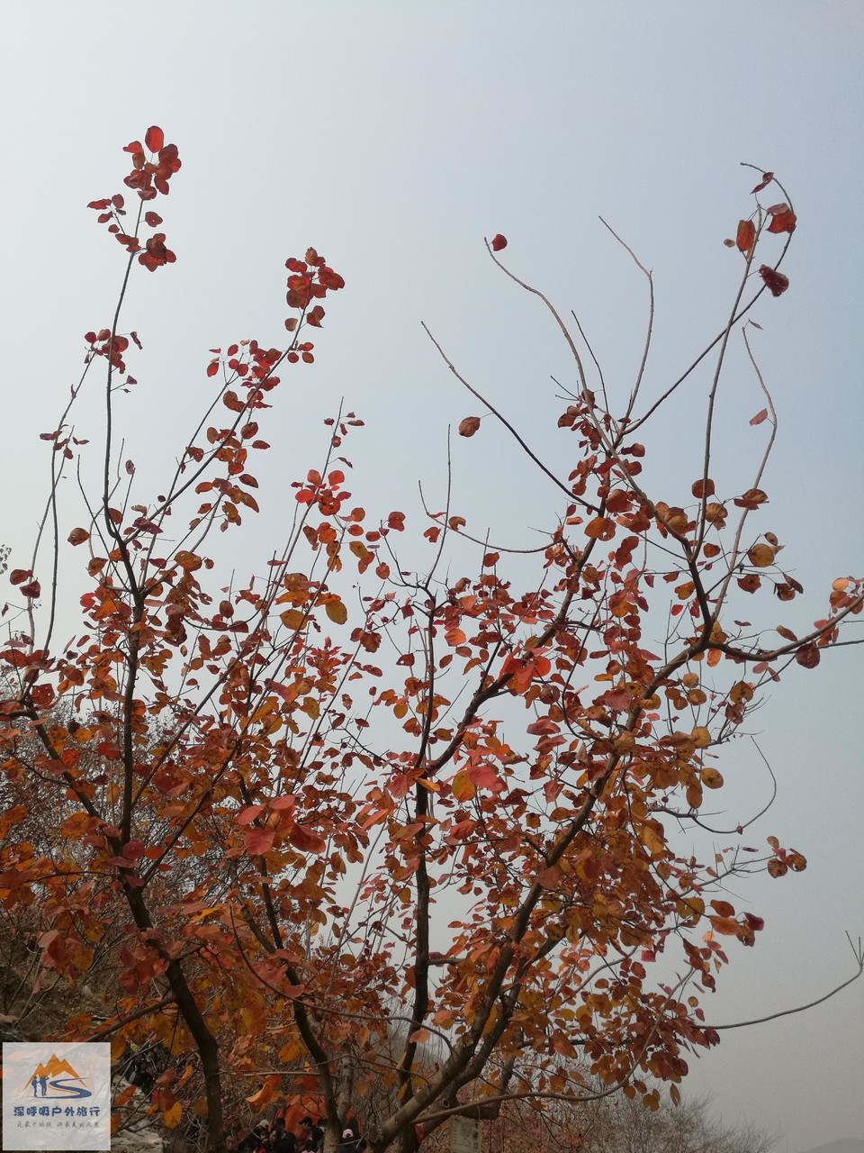 yyQDEVHYx0m9Z8eX9--gTro7NySZHwdZO-IFwt6r5aZ_H7qpMFMwMhjUyu9vEVH7