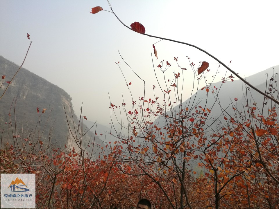 POt0O1Lt91fsMZ_6qTma-KVwcQysnEqXp1O_Qerxhrn6Q74Or1jIGjG4H51n9Igh