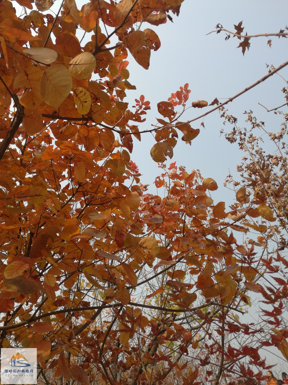 kYAuRajVfaRgfFod1oUkrzzci4lWkJYbS7TV7kcN6Y0PcAuS3NtegVXvSC8xlEBX